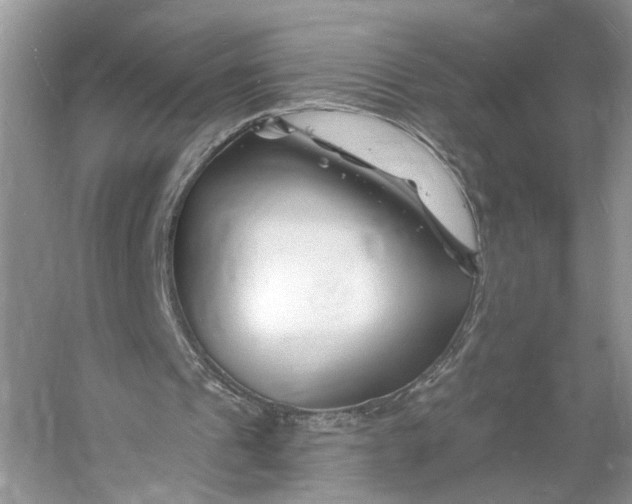 X0000060740241200512011427