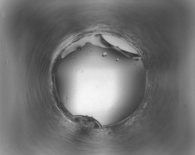 X0000060740245200512011427