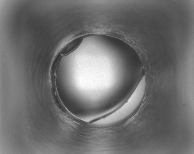 X0000060740246200512011427