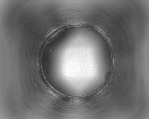 X0000060740249200512011427