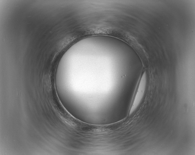 X0000060740250200512011427