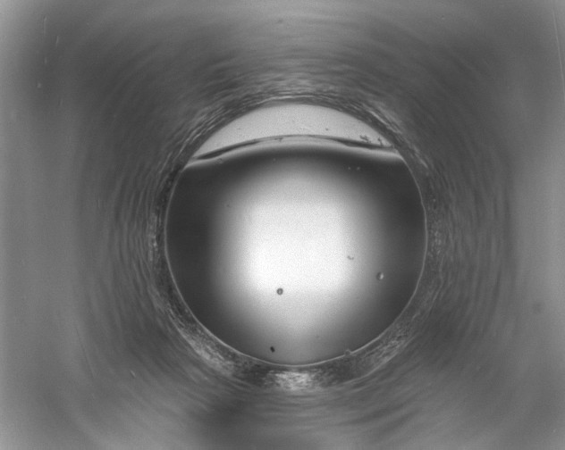 X0000060740265200512011428