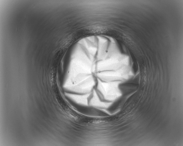 X0000060740268200512011428