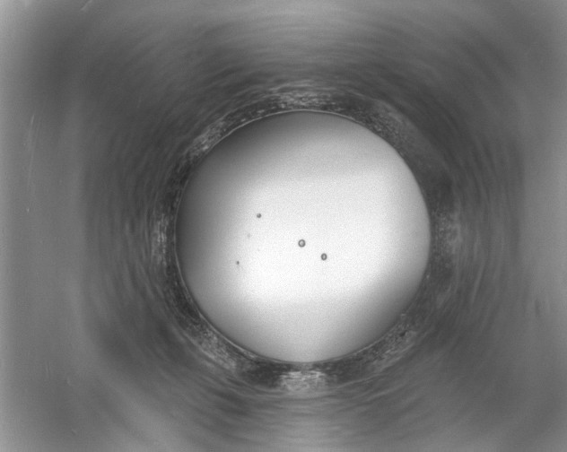 X0000060740271200512011428