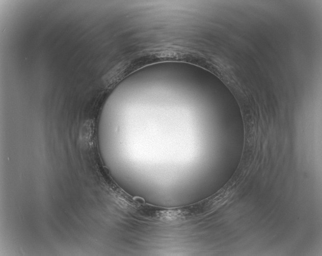 X0000060740273200512011428