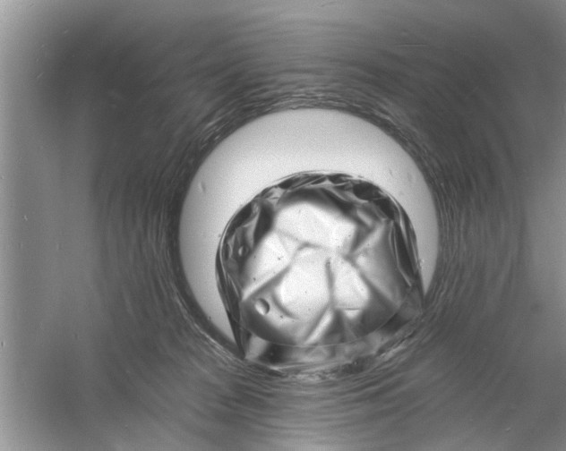 X0000060740277200512011428