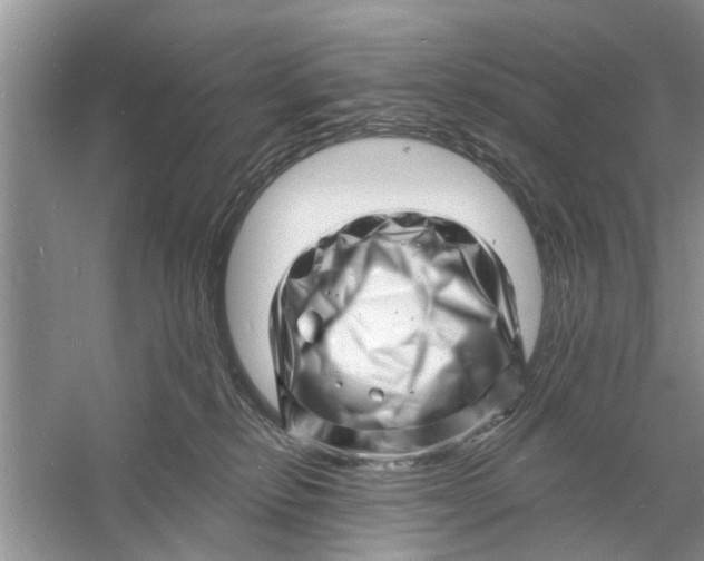 X0000060740278200512011428