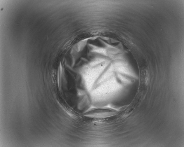 X0000060740280200512011428