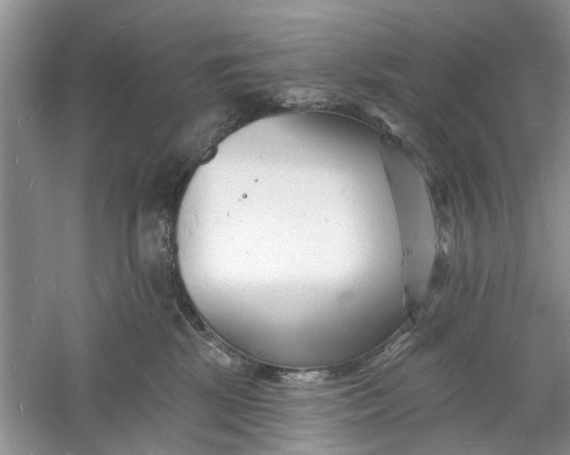 X0000060740281200512011428