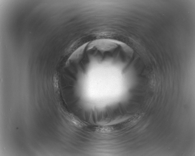 X0000060740282200512011428