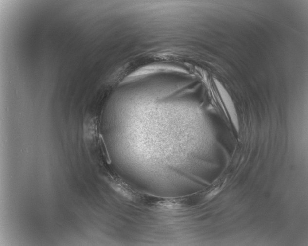 X0000060740284200512011428