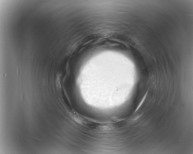 X0000060740286200512011428