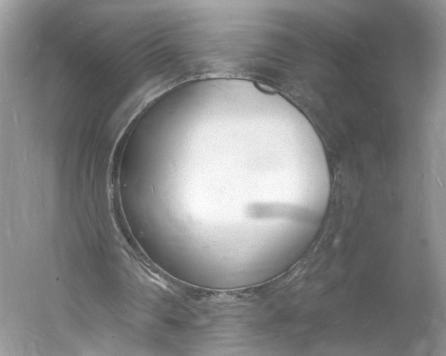 X0000060740290200512011427