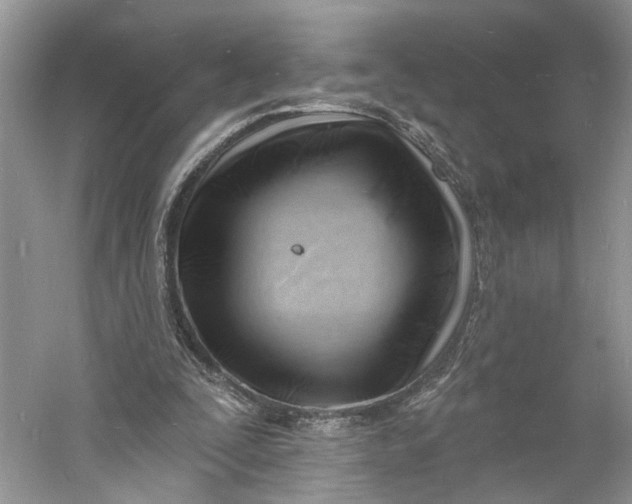 X0000060740295200512011427