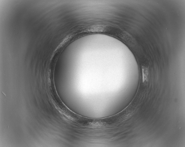 X0000060740300200512011427