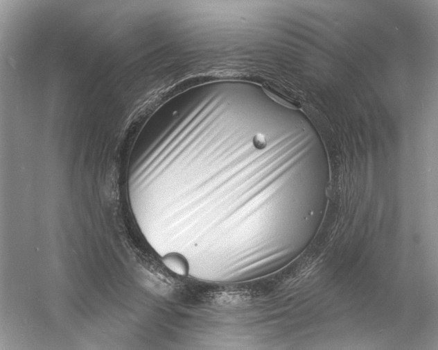 X0000060740303200512011427