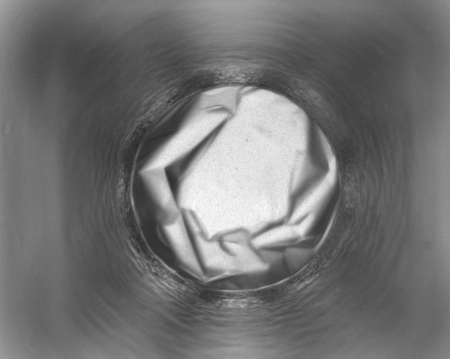 X0000060740314200512011427