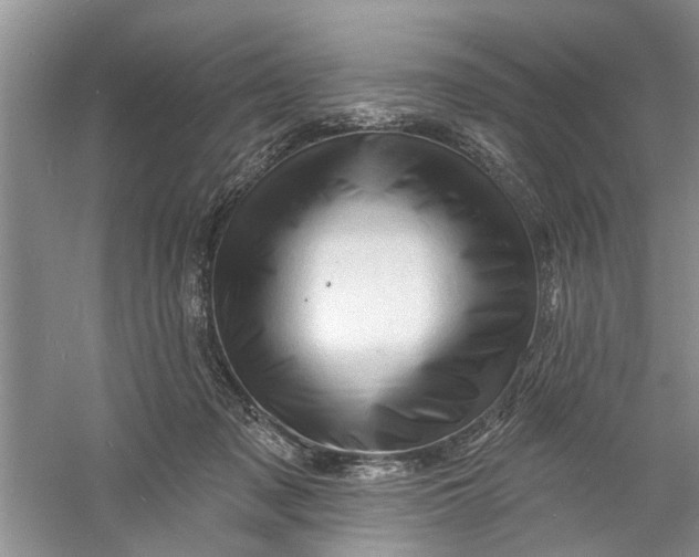 X0000060740317200512011427