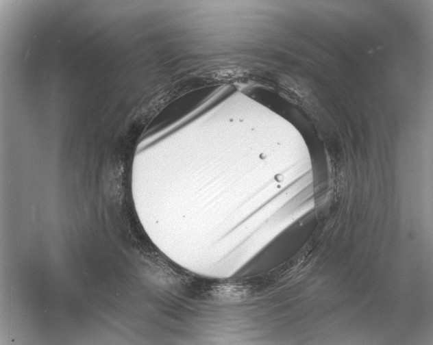 X0000060740319200512011427