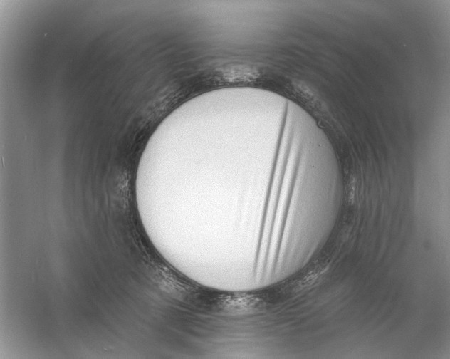 X0000060740321200512011427