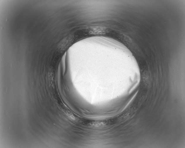 X0000060740322200512011427