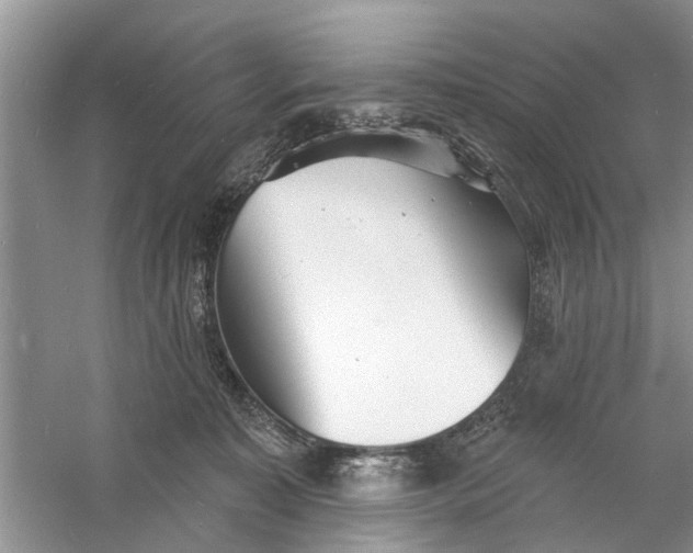 X0000060740323200512011427