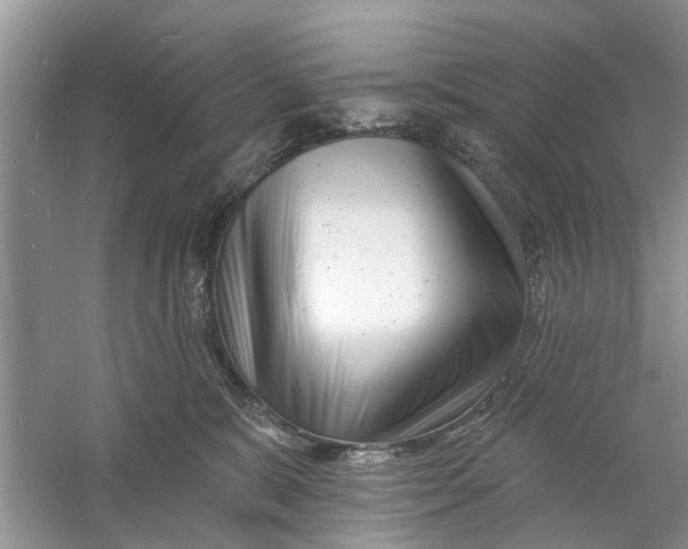 X0000060740327200512011427