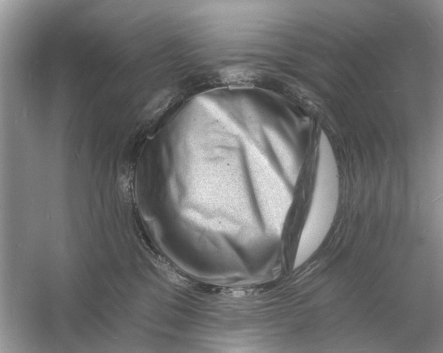 X0000060740329200512011426