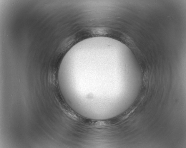 X0000060740330200512011426