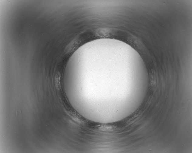 X0000060740332200512011426