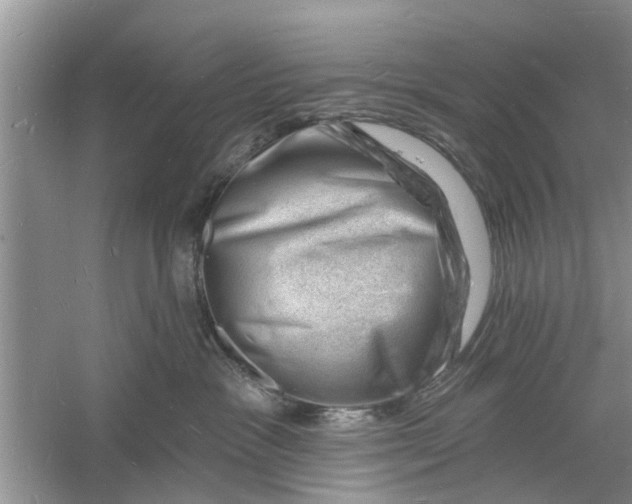 X0000060740333200512011426