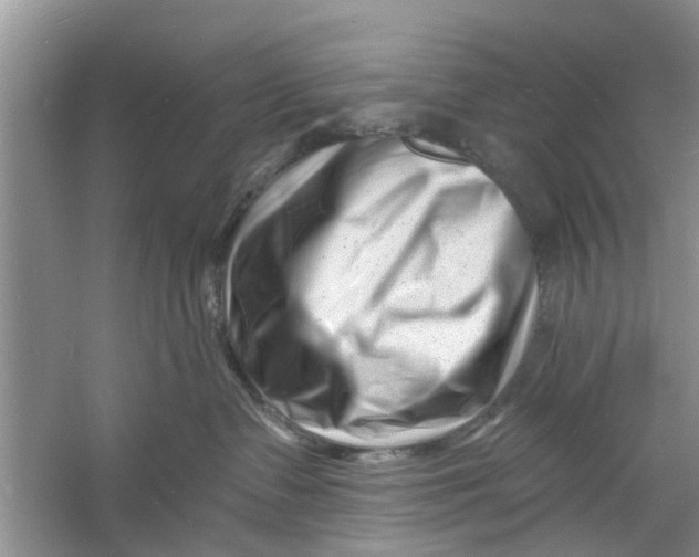 X0000060740335200512011426