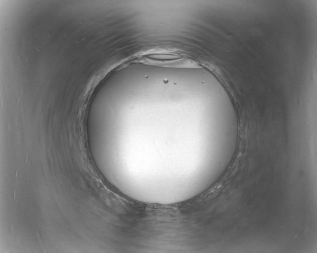 X0000060740337200512011426