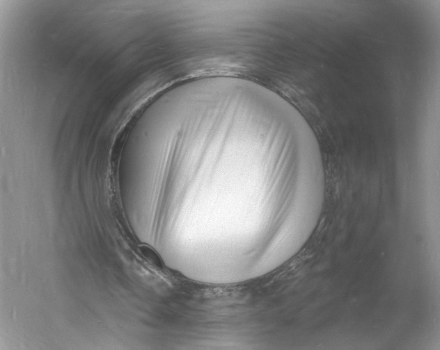 X0000060740338200512011426