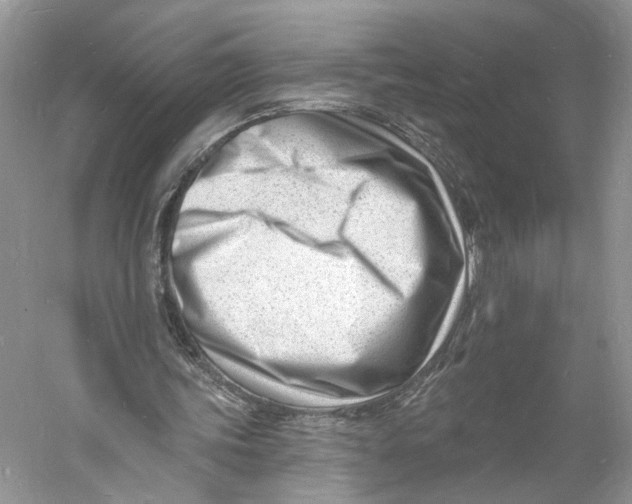 X0000060740339200512011426