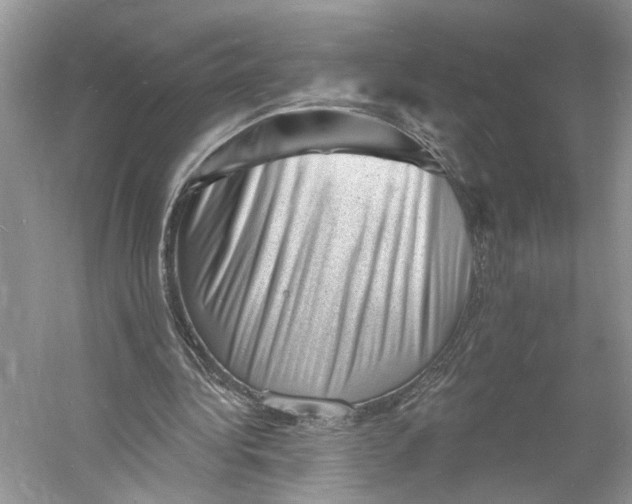 X0000060740340200512011426