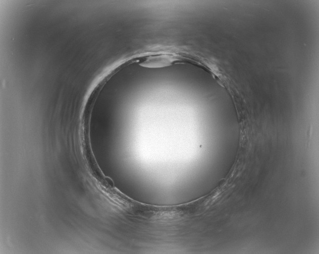 X0000060740342200512011426