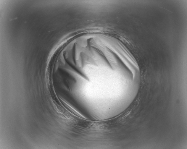 X0000060740343200512011426