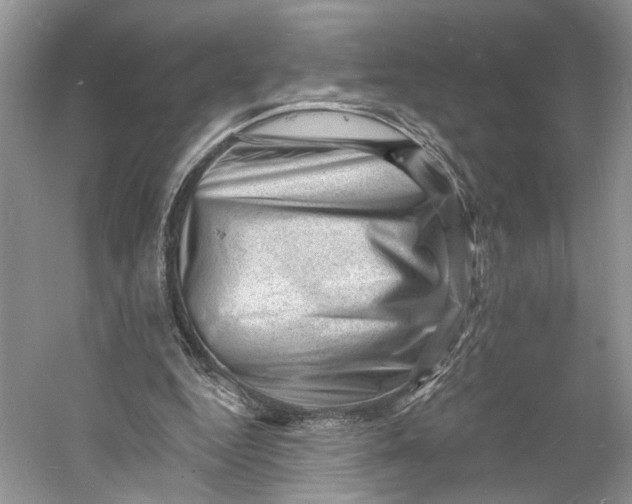 X0000060740344200512011426