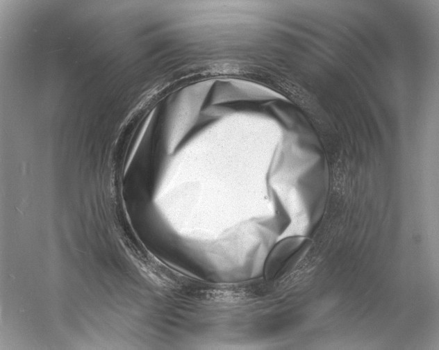 X0000060740347200512011426