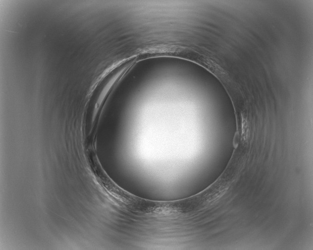 X0000060740348200512011426