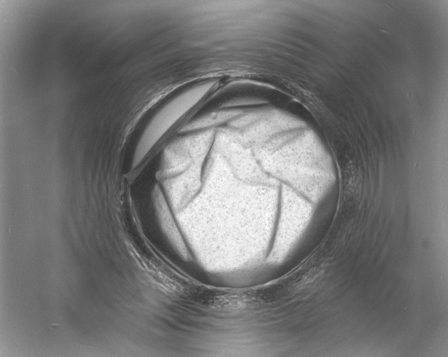 X0000060740351200512011426