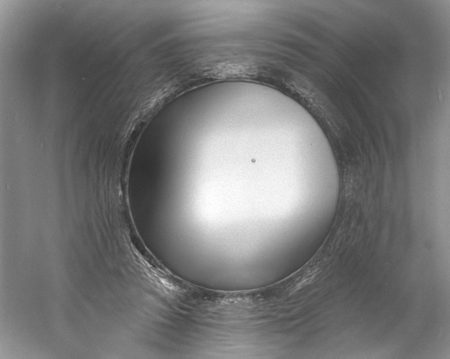 X0000060740353200512011426