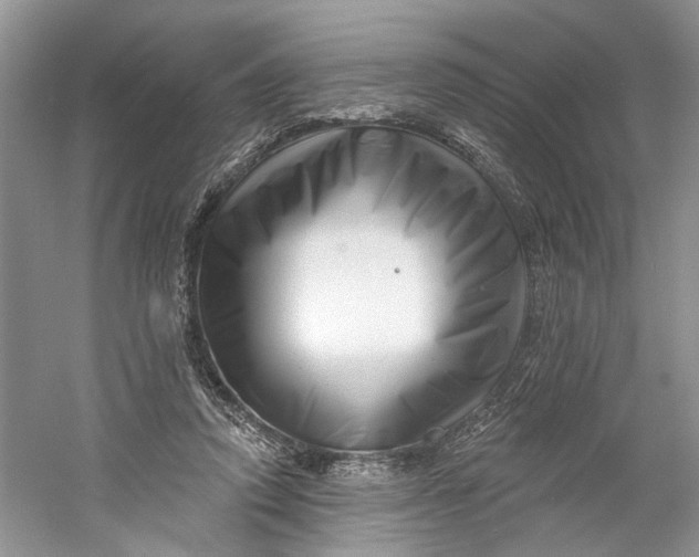 X0000060740354200512011426