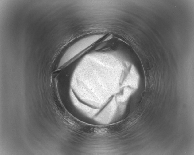 X0000060740355200512011426