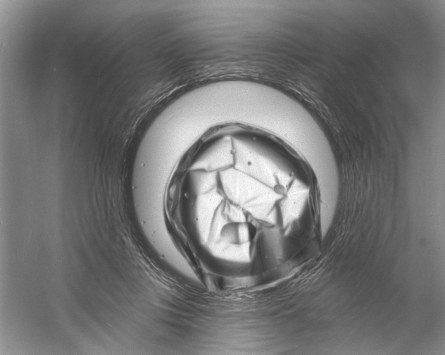 X0000060740359200512011426