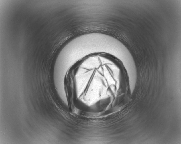 X0000060740360200512011426