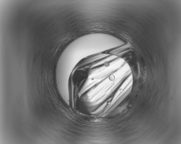 X0000060740365200512011426