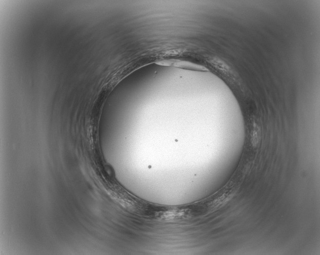 X0000060740366200512011426