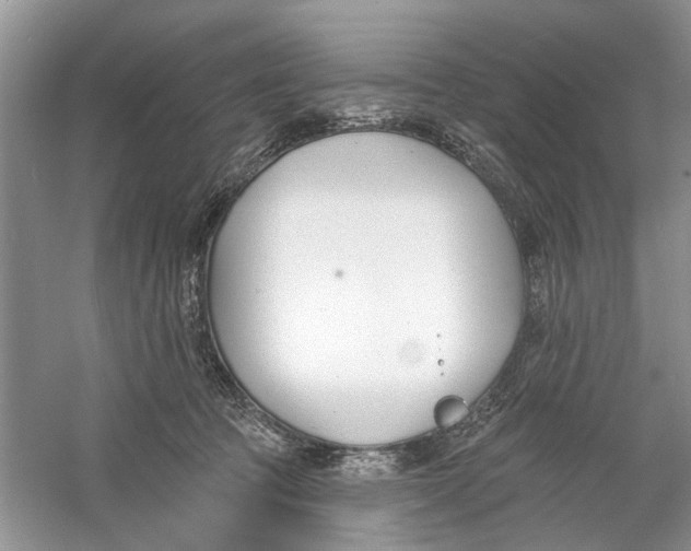 X0000060740369200512011426